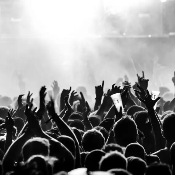 A crowd of fans enjoying music concert